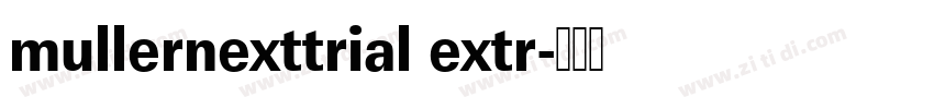 mullernexttrial extr字体转换
